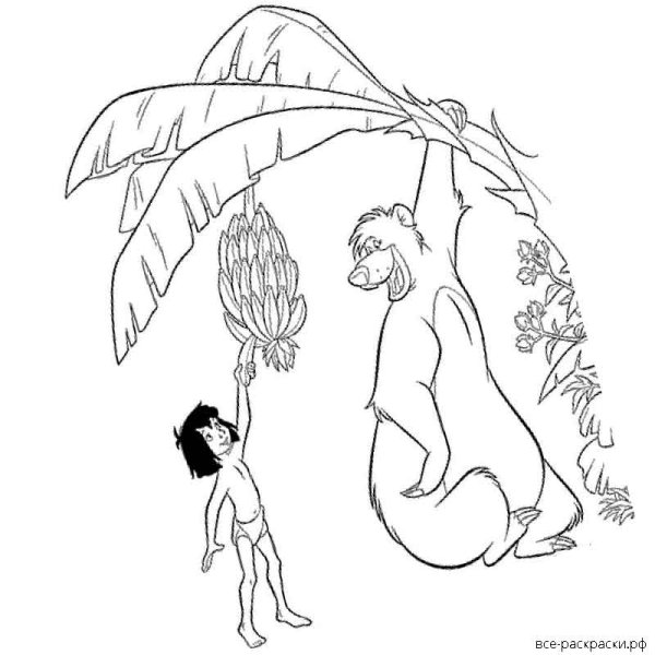 Братья Маугли раскраска