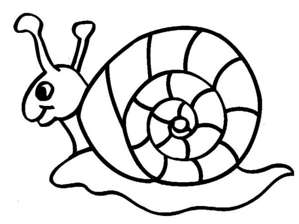 Улитка трафарет для детей