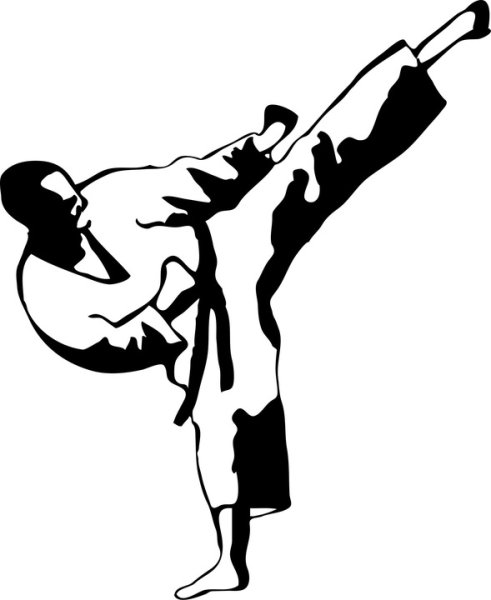 Карате вектор