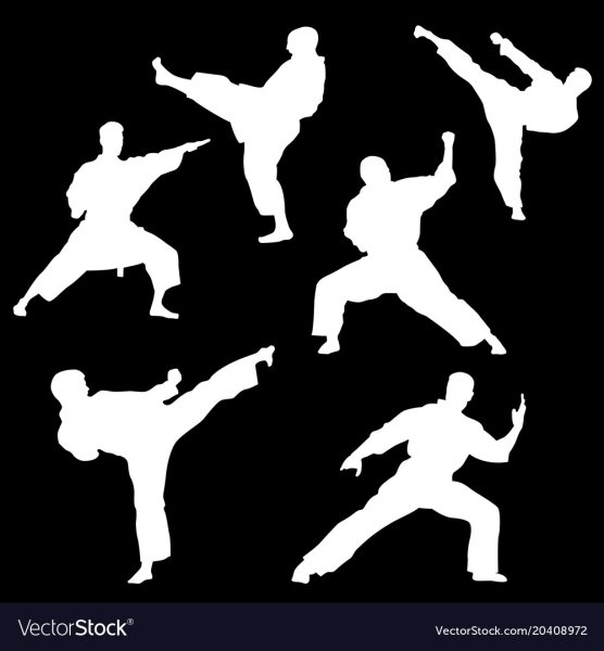 Силуэты карате на черном фоне