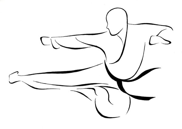 Каратист чб