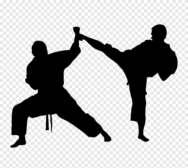 Силуэт дзюдоиста