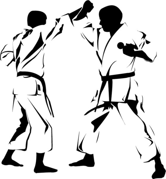 Киокусинкай каратэ вектор