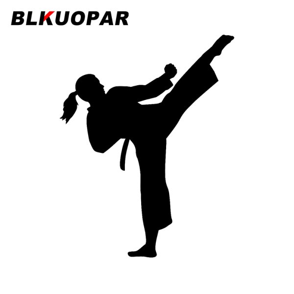 Каратист контур