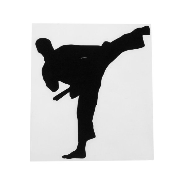 Тень каратиста