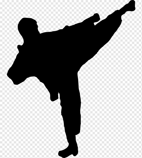 Каратист силуэт черный
