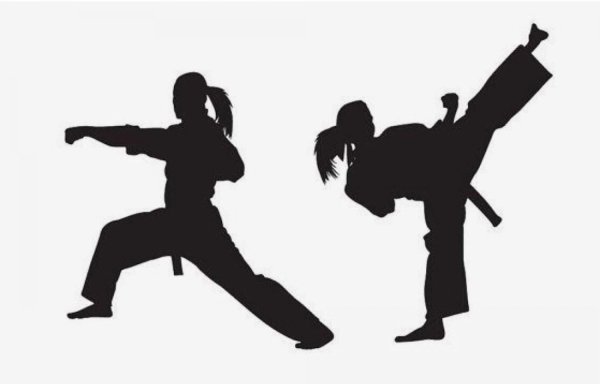 Каратэ киокусинкай девочка силуэт