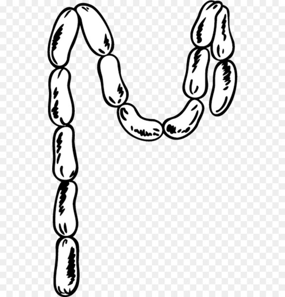 Колбаса сосиски вектор