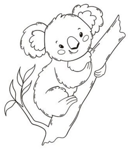 Коала контур