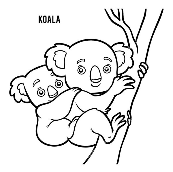 Коала черно белая для детей