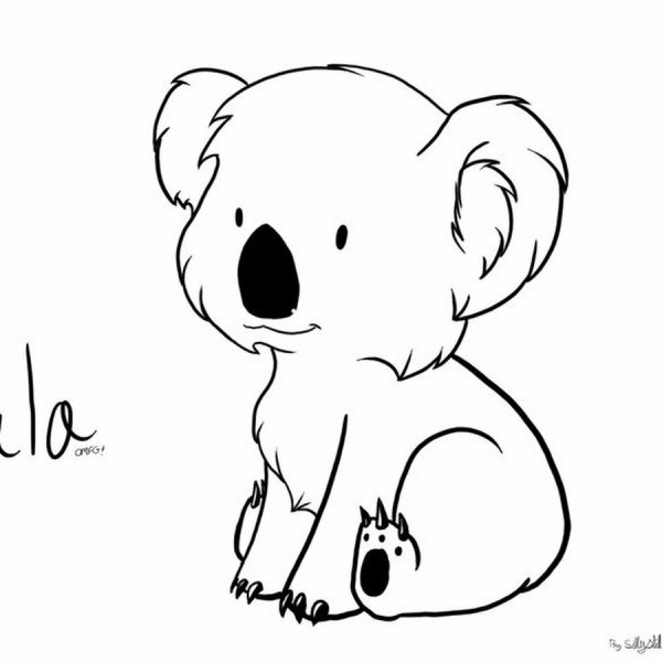 Раскраска Куала