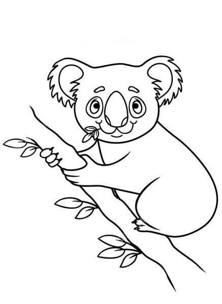 Коала. Раскраска