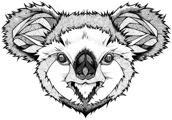 Коала тату эскиз