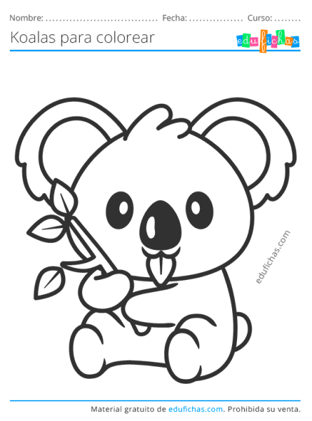 Коала раскраска цветная