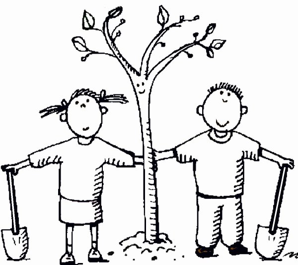 Посадка деревьев рисунок