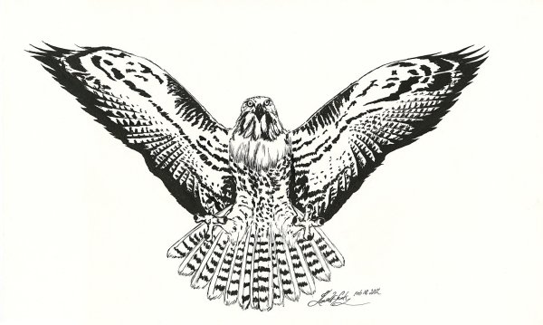 Сапсан птица тату