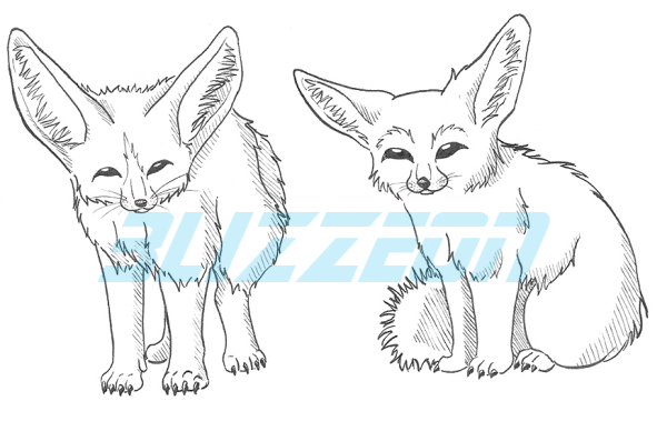 Фенек Фокс рисунок сбоку