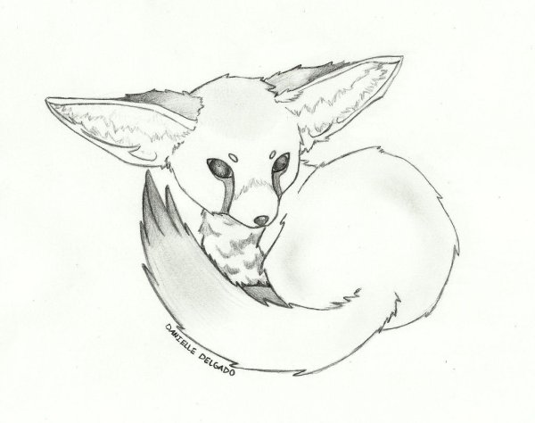 Fennec Fox тату