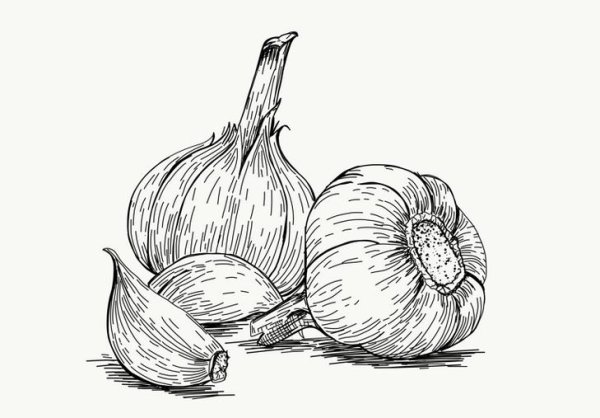 Овощи карандашом