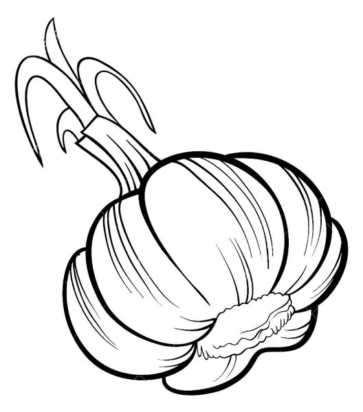 Долька чеснока вектор