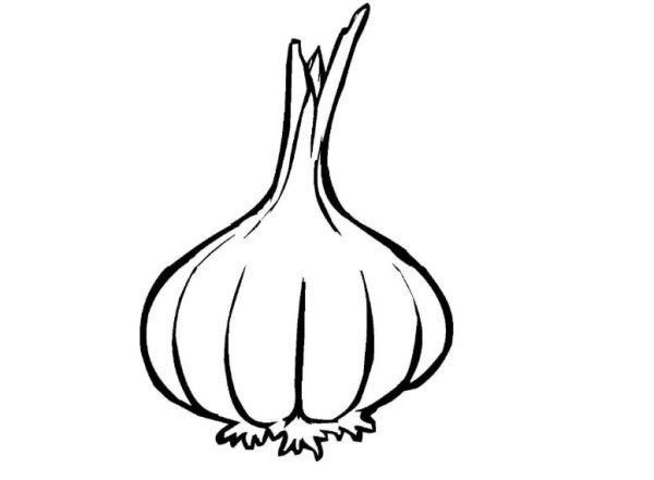 Чеснок трафарет