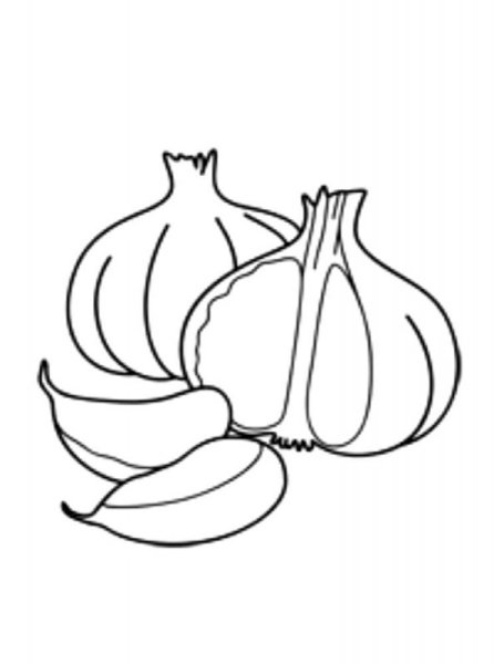 Чеснок раскраска