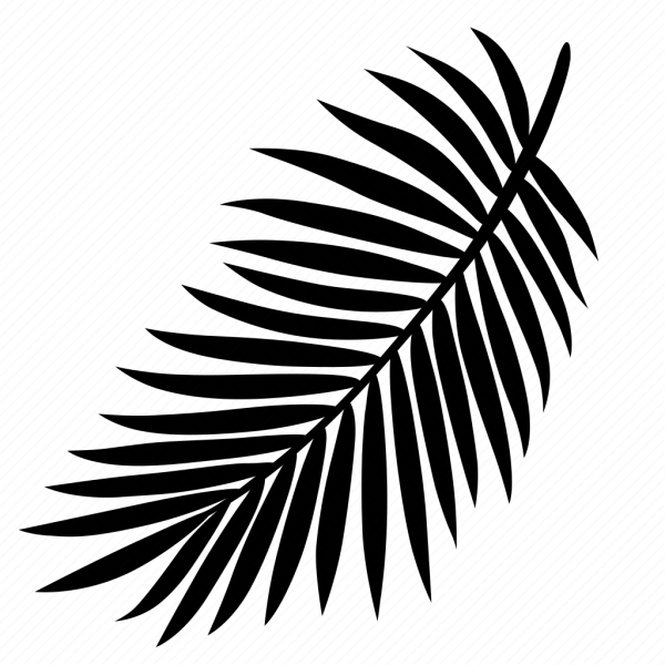 Пальмовые листья вектор