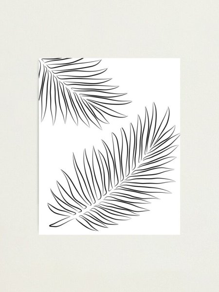 Пальмовый лист контур