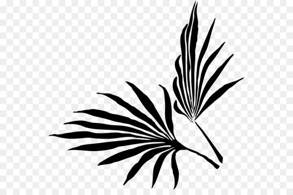 Стилизованные листья пальмы