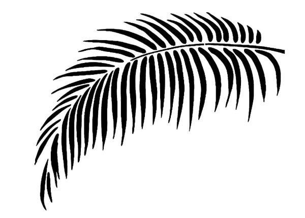 Трафареты пальмовых листьев