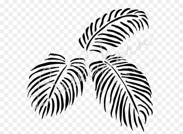 Лист пальмы
