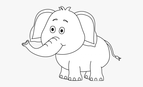 Слон черно белый