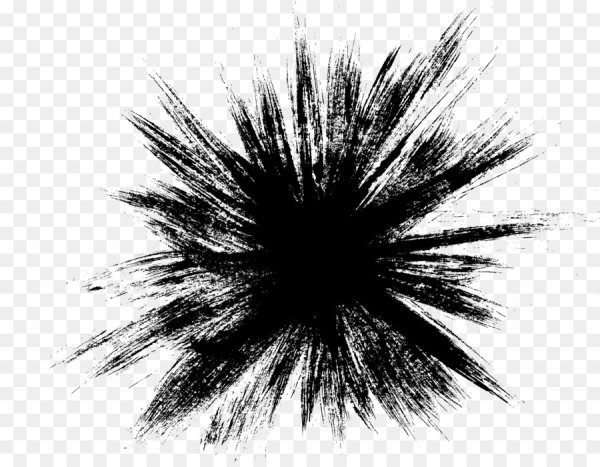 Взрыв черно белый