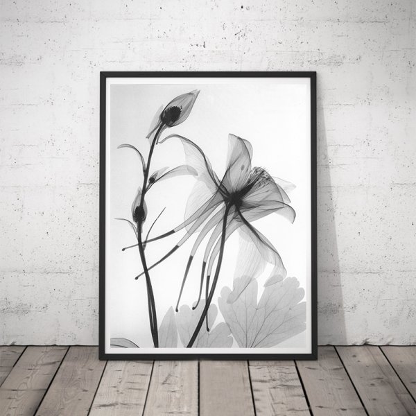 Постер "черно-белое"