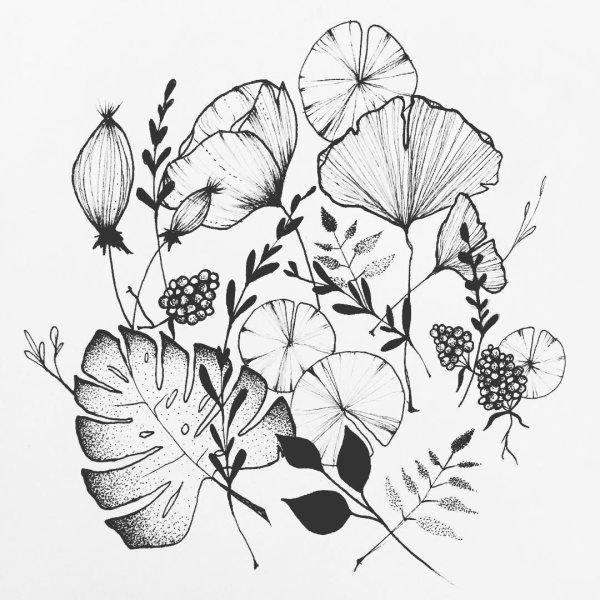 Ботаника карандашом