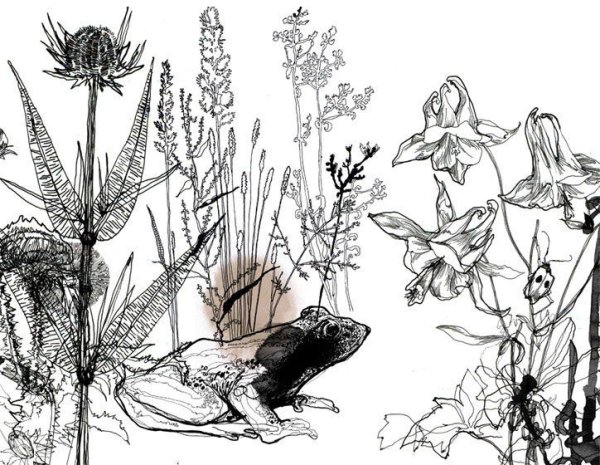 Гравюра цветы