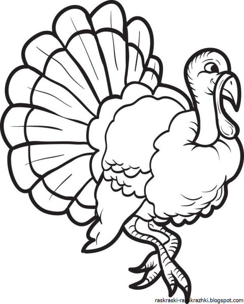 Картинки индюшка с индюшатами для детей раскраска