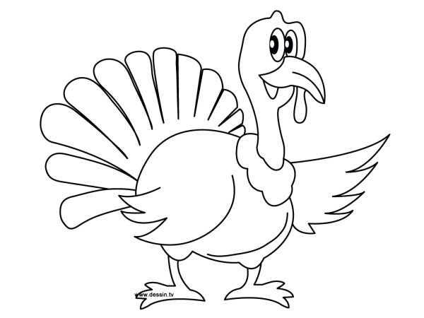 Индюк раскраска для детей