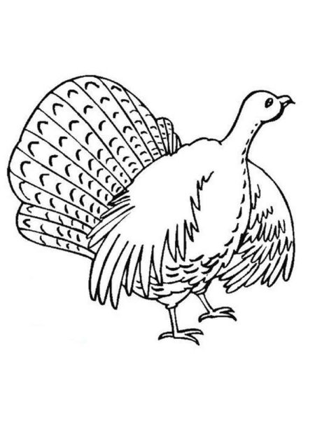 Индюк картинка для детей раскраска
