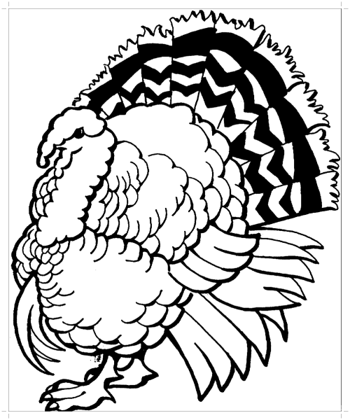 Индюк индюшка и индюшата раскраска