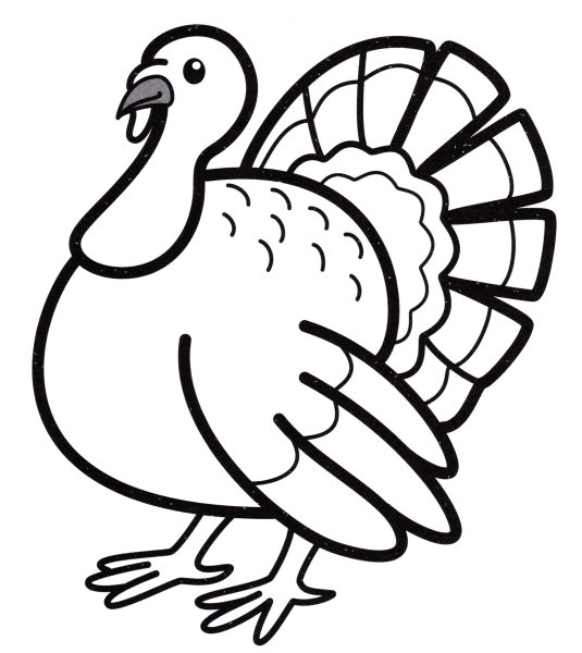 Раскраска индюк и индюшка