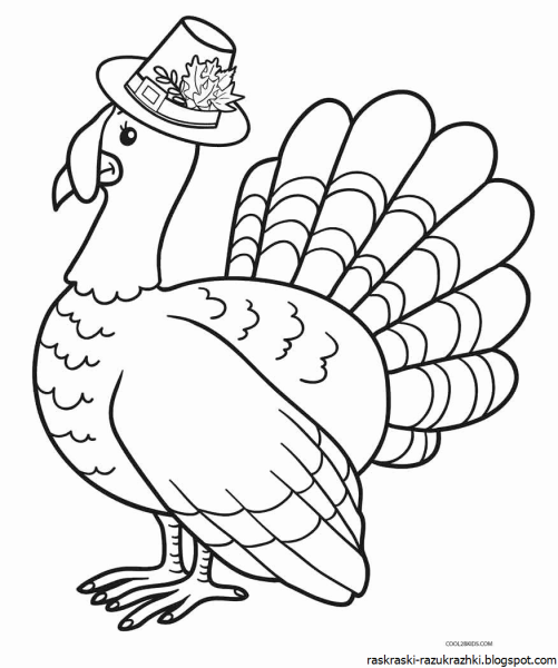 Turkey индюк for Kids