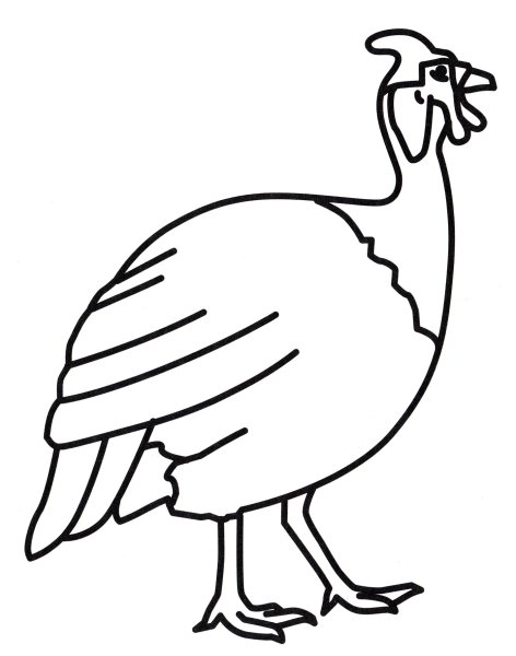 Индюшка раскраска для детей