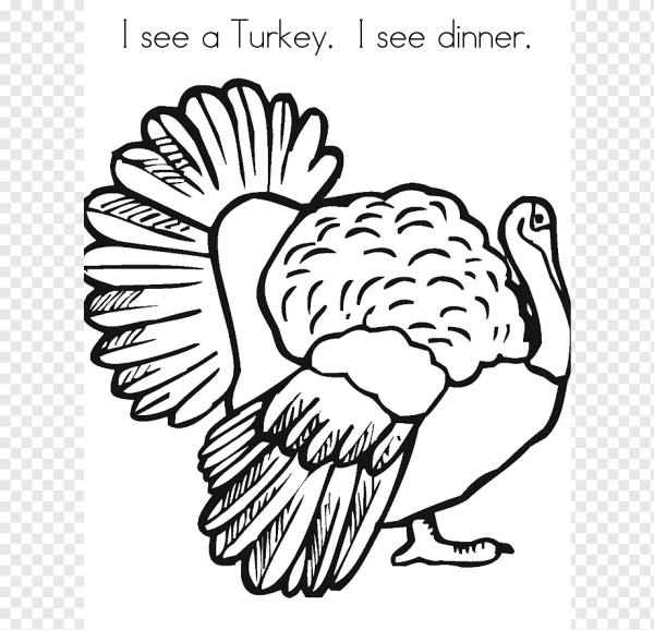 Индюк раскраска для детей цветная