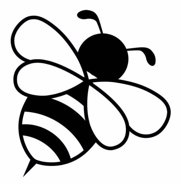 Черно-белые картинки для новорожденных