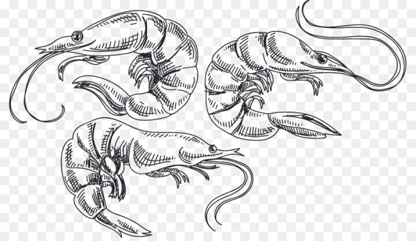 Креветка чб