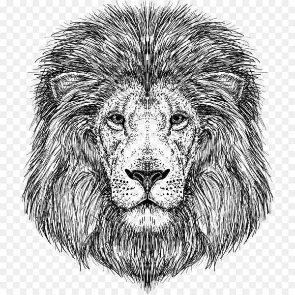 Лев графический рисунок