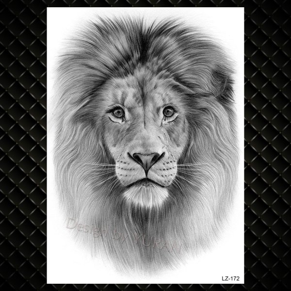 Наброски морды Льва