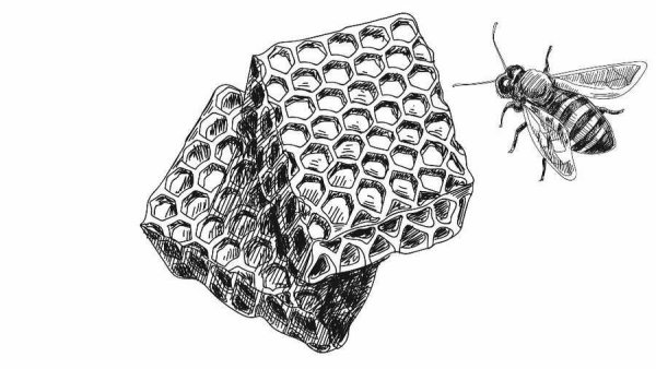 Соты карандашом