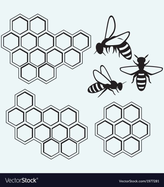 Трафарет соты